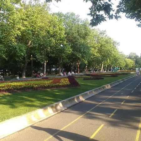 Flora Apartman *